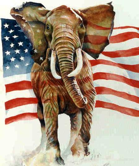 Elephant And Flag